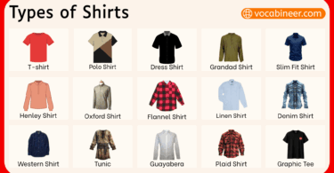 Different Types of Shirts with Names and Pictures
