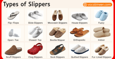 40+ Slippers Names with their Pictures