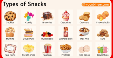 Types of Snacks in English with Pictures
