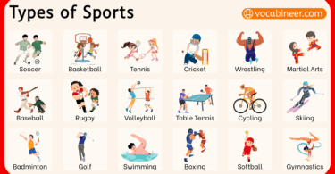 100 Different Types of Sports in English with Pictures