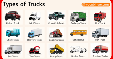 Different Types of Trucks Names with Pictures