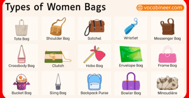 Different Types of Women Bags and their Names with Pictures