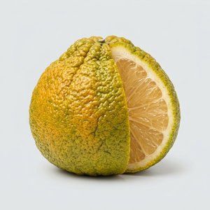 Ugli Fruit