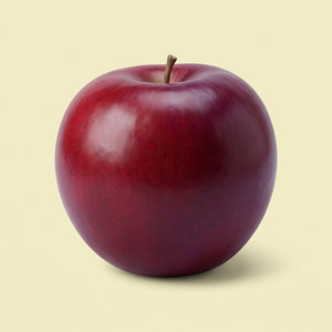 Winesap Apple 