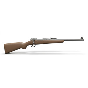 Bolt-Action Rifles