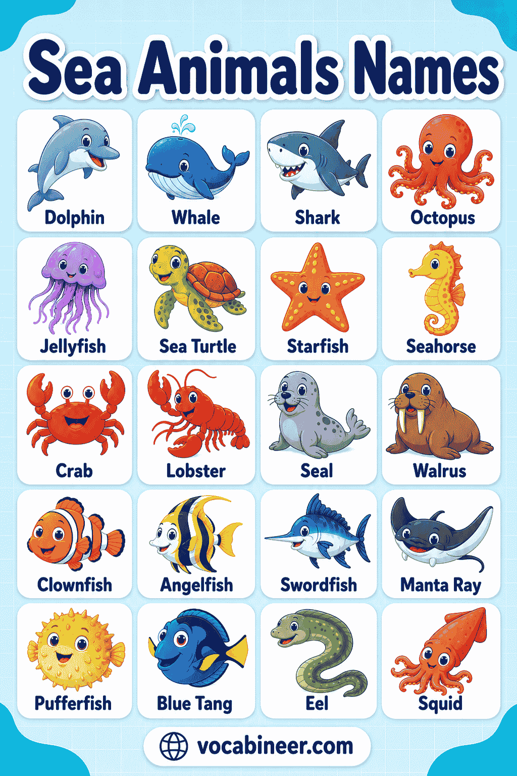 Common Sea Animals Names and Pictures