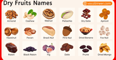 Dry Fruits Names in English with Pictures
