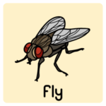 100+ Insects Names in English with Images Complete List