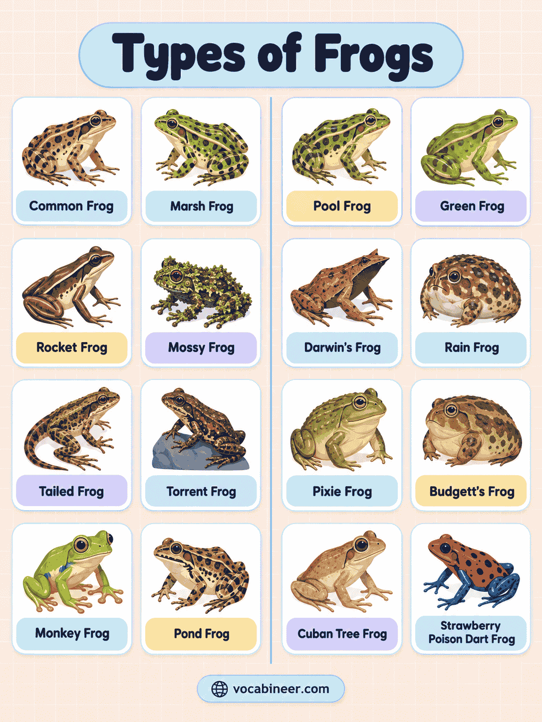 Frog Names and Types with Pictures