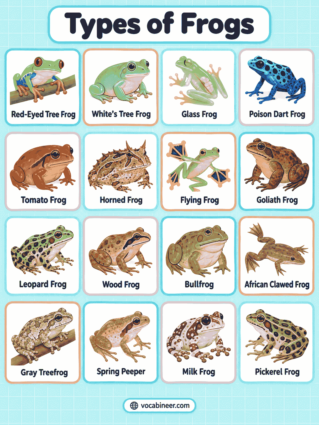 Frog Types and Species Names with Pictures