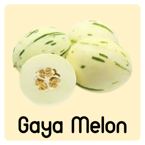Gaya Melon Hybrid Sweet Melon Watermelon Seeds LUTESEEDS