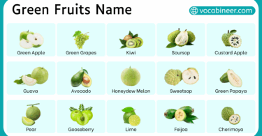 40 Green Fruits Name in English with Pictures