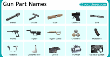 Names of Gun Parts with their Functions