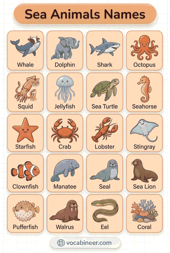 List of sea animals names in English with labeled pictures in an ESL vocabulary chart