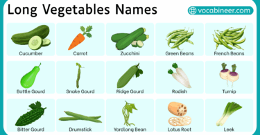 List of Long Vegetables Names in English