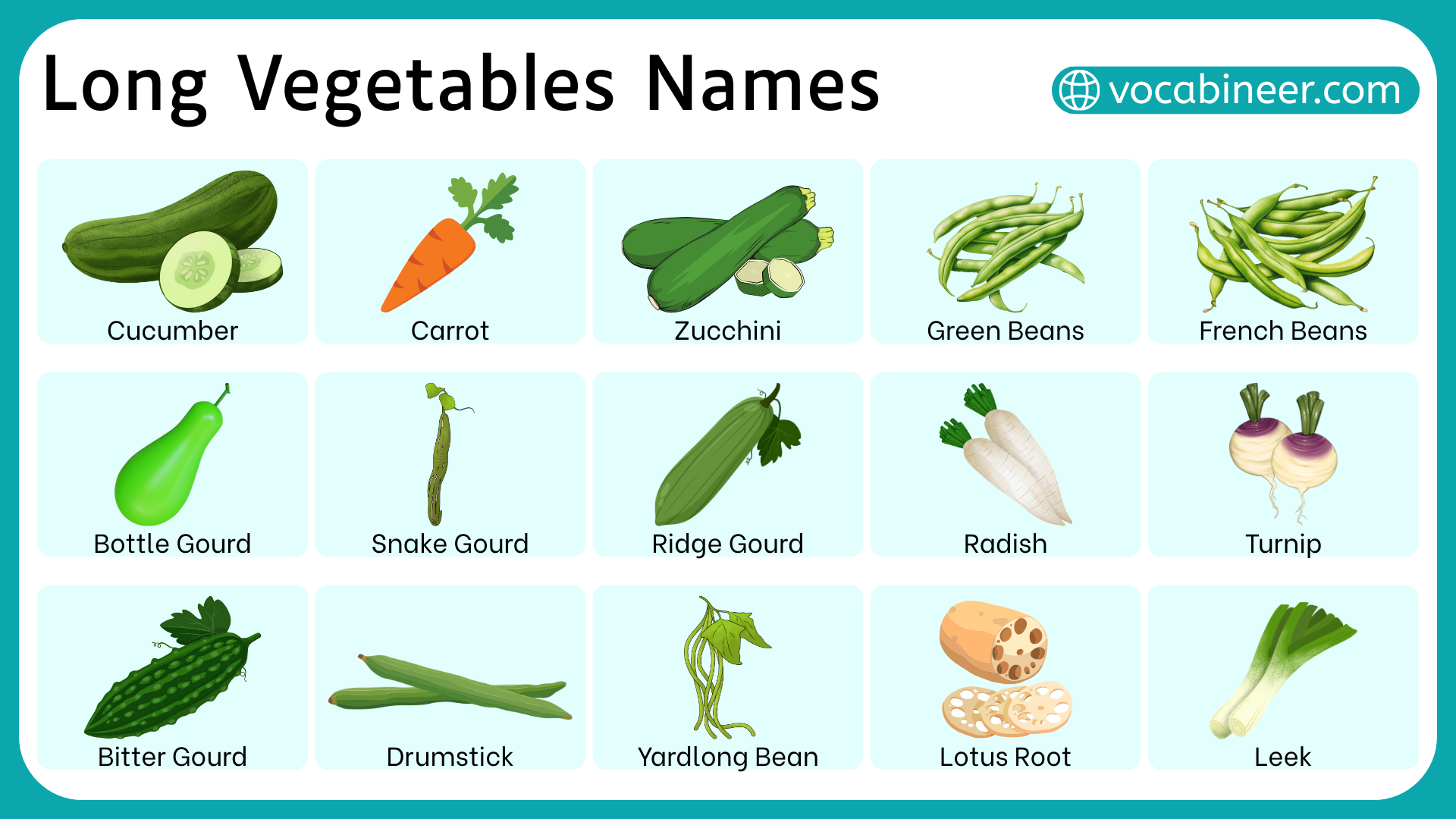 Long Vegetables Names List in English with Pictures, image size:1920x1080