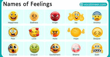 Types of Feelings and Emotions for Beginners