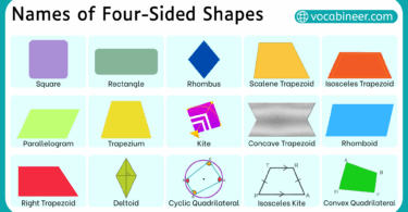 Types of Four Sided Shapes with their Images