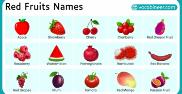 Different Types of Red Fruits with their images