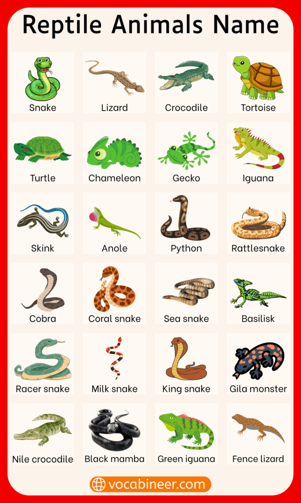 Reptiles Animals Name List with Pictures