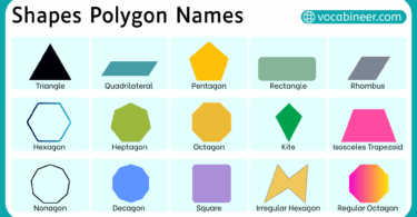 Different Types of Shapes Polygon with their Pictures