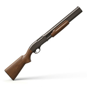 Shotguns