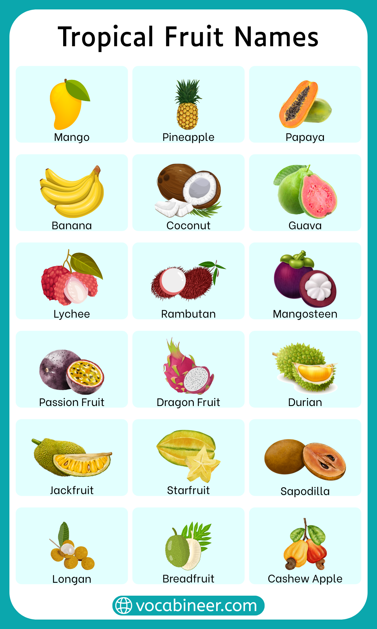 Complete list of tropical fruits names in English with pictures including juicy, sweet, and exotic fruits from tropical regions
