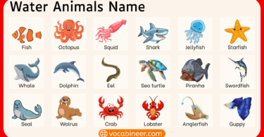 Types of Water Animals with Names and Images