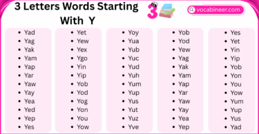 3 Letter Words Starting with Y