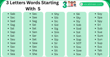3 Letter Words That Start with S in English