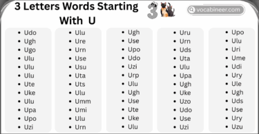 3 Letter Words That Start with U in English