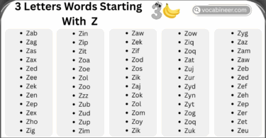 3 Letter Words That Start with Z in English