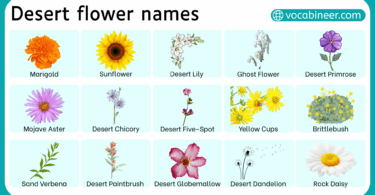 Desert Flower Names List with their Pictures
