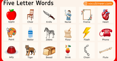Five Letter Words in English with Examples