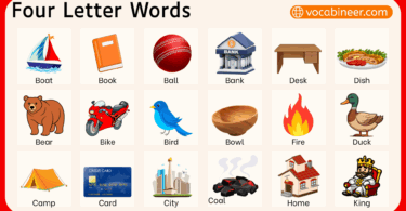 Four Letter Words List in English with Examples