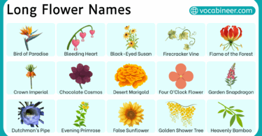 50+ Long Flower Names and their Pictures