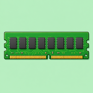 RAM 