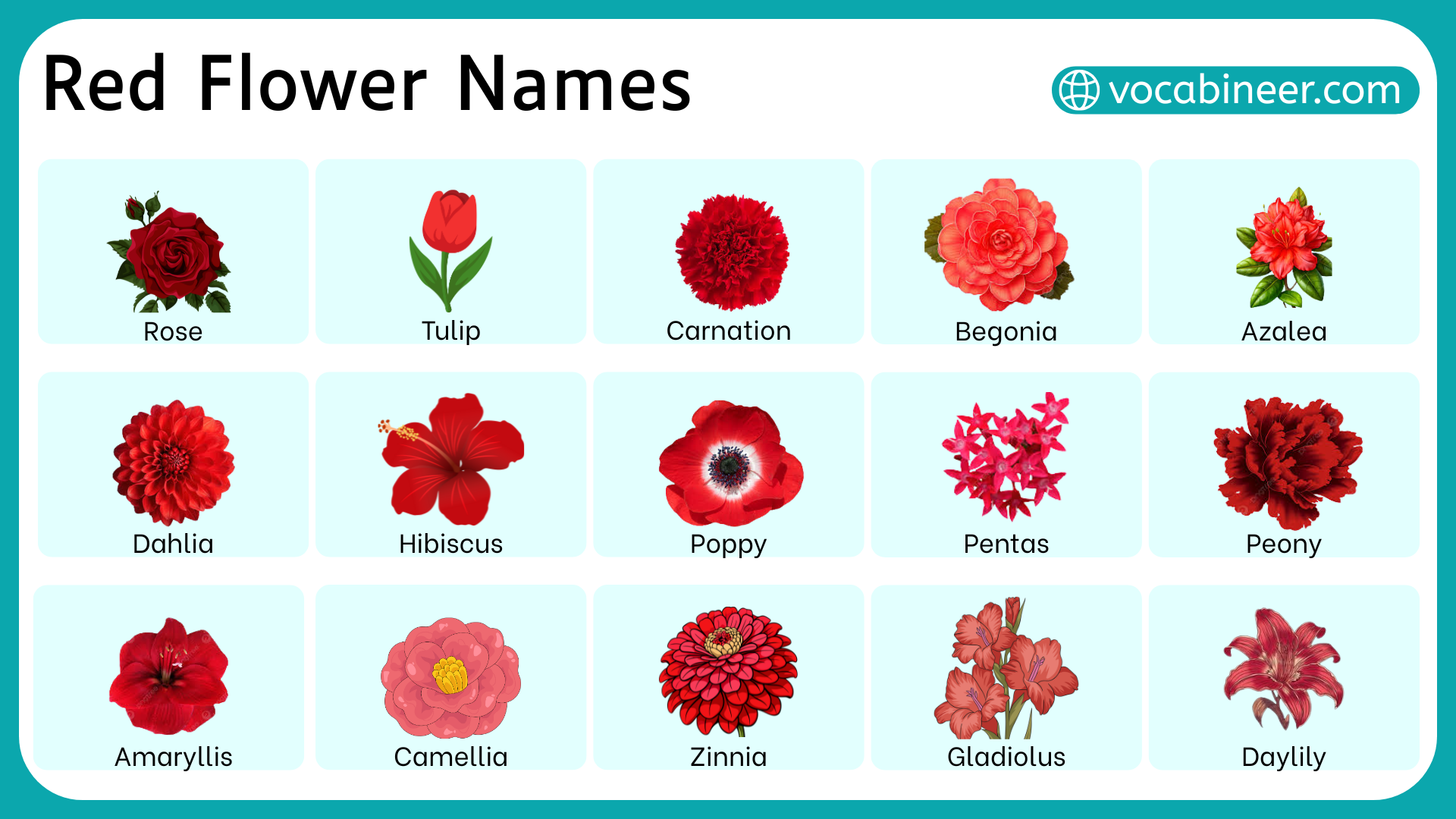 30 Red Flower Names in English with their Pictures, image size:1920x1080