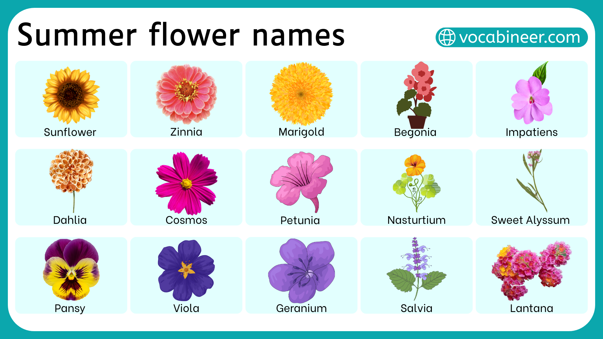 30+ Summer Flowers with Names and Pictures, image size:1920x1080
