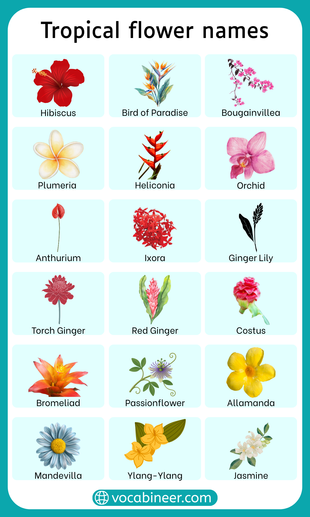 25 Tropical Flower Names with their Pictures