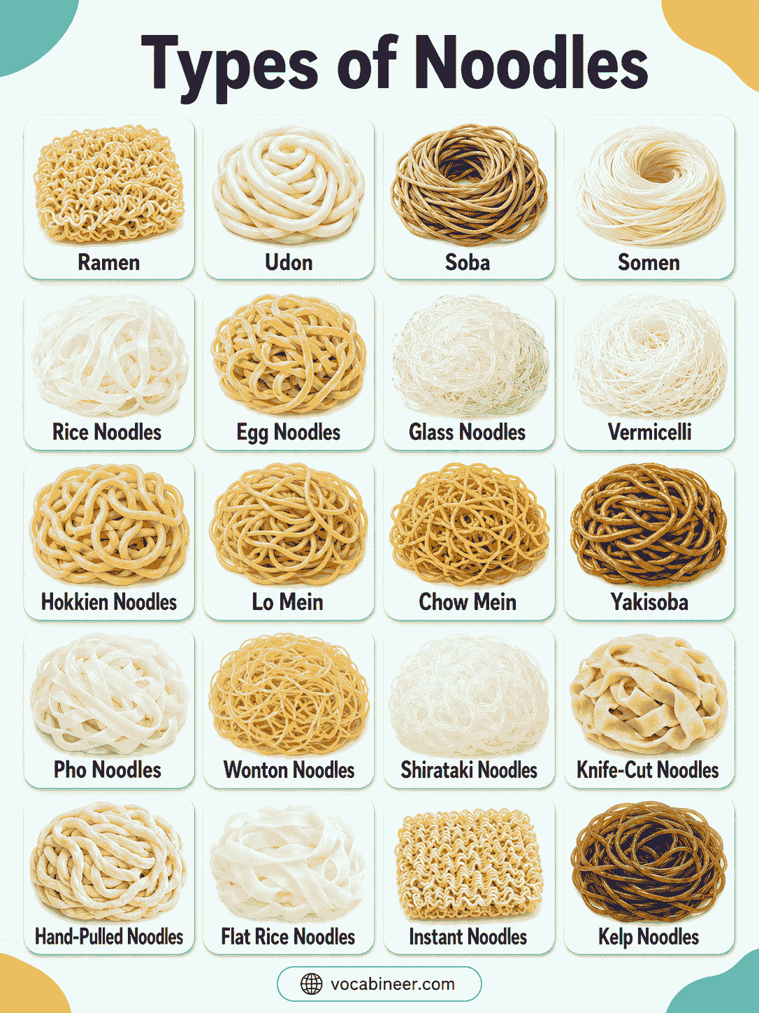 Types of Noodles with Names & Pictures: Easy Guide