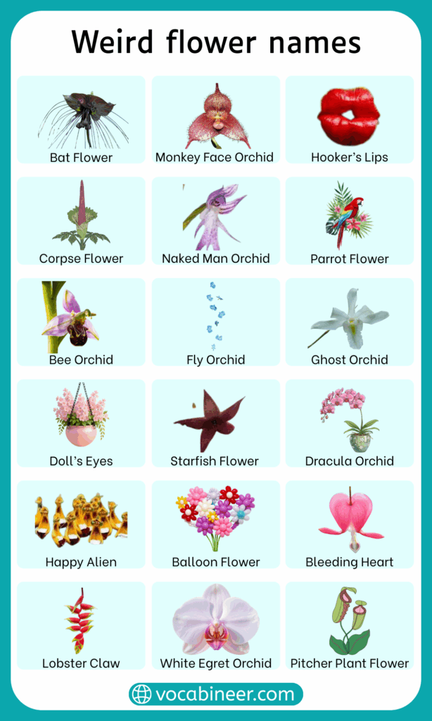 30 Weird Flowers with Names and Pictures