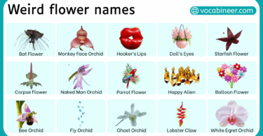 30 Weird Flowers with Names in English with Pictures