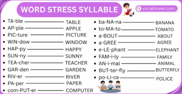 Word Stress Syllable in English with Examples