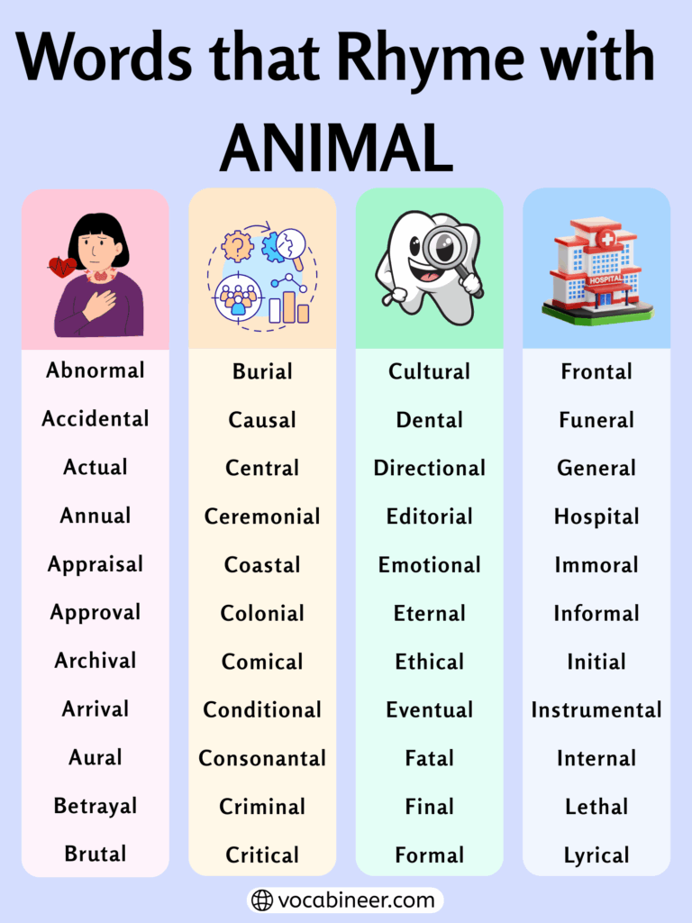 808 Lovely Rhymes with Animal for Kindergarten