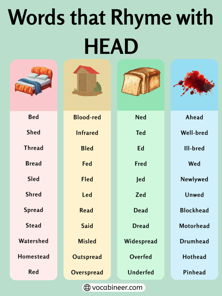 800+ Easy Words that Rhyme with Head for Kindergarten