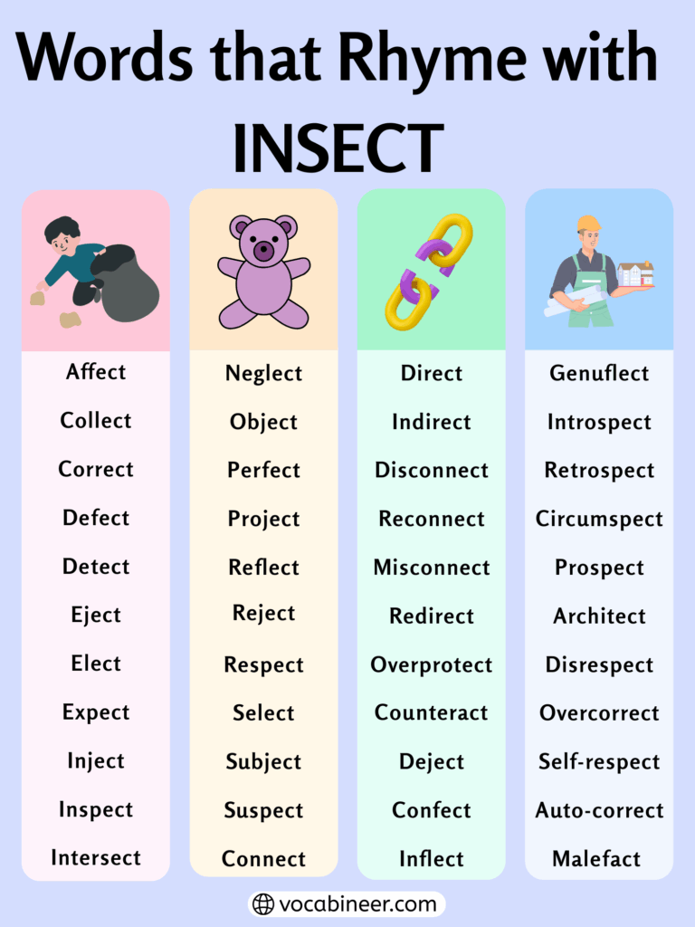 797 Unique Rhymes with Insect in English