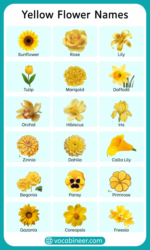 35 Yellow Flower Names in English with their Pictures