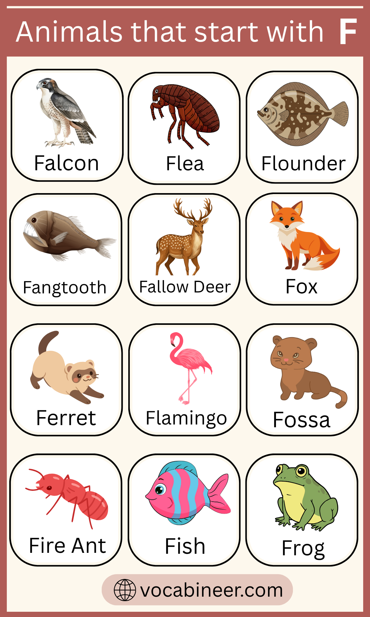 150 Unique Animals That Start with F with their Pictures, image size:1200x2000