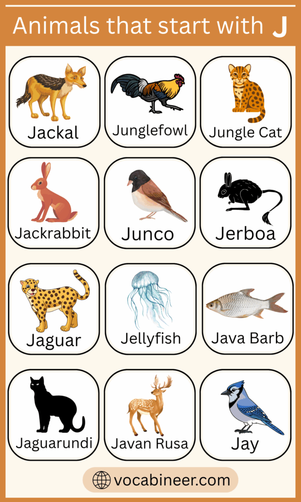 220 Animals That Start with J in English